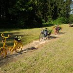Drei bunte bemalte Fahrräder und eine Parkbank an einem Picknick-Platz